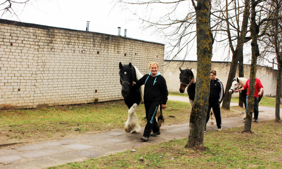 Iš cirko Jonavoje pabėgę arkliai