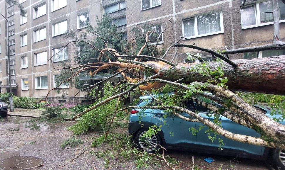 Vilniaus Lazdynų mikrorajone audra pridarė žalos: ant daugiabučio užvirto medis