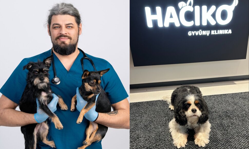 Veterinarijos gydytojas Vilius Urbonas / „Hačiko“ klinika