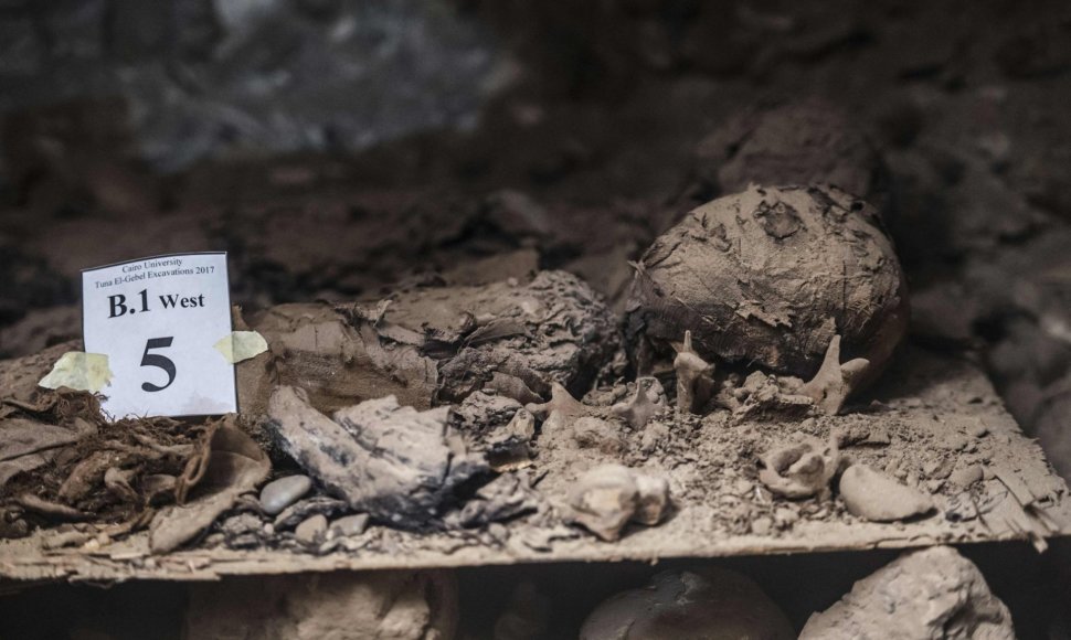 Egipte rastos naujos katakombos su mumijomis