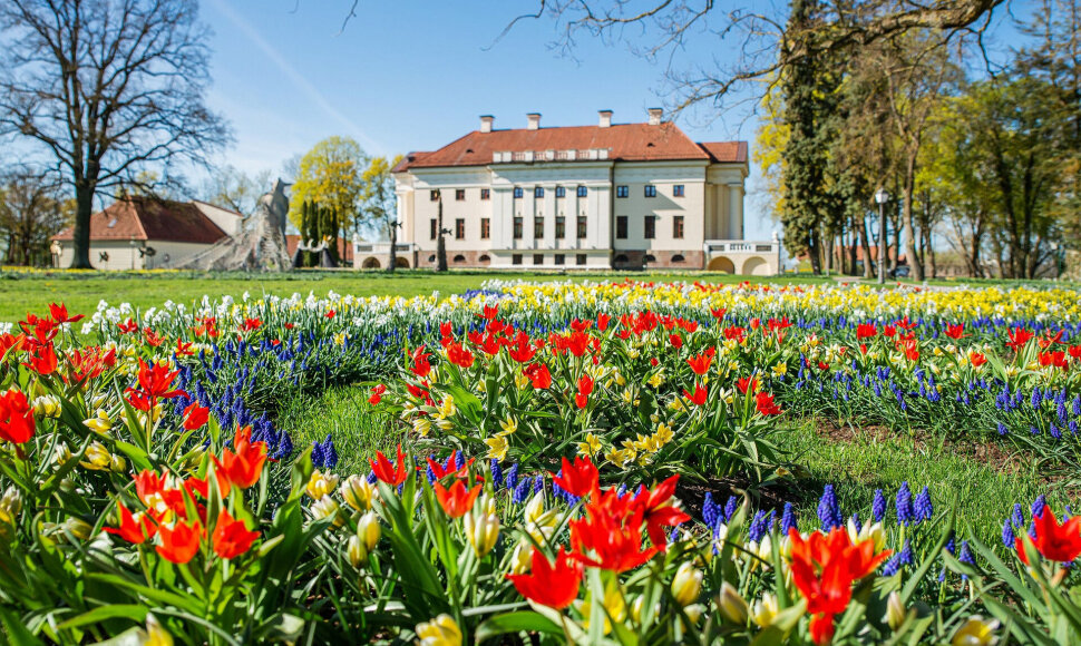 Žydėjimas Pakruojo dvare