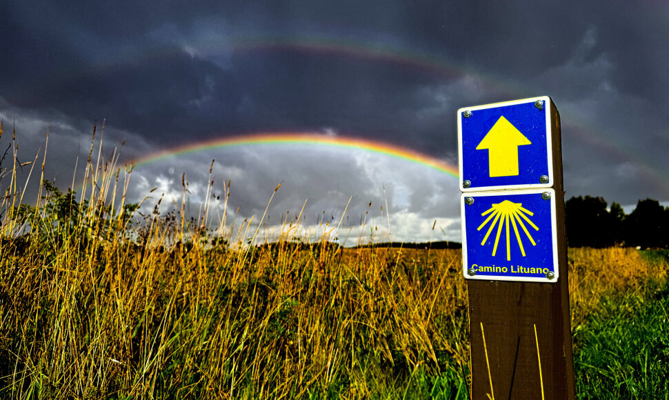 Pro Gedvilų sodybą eina „Camino Lituano“ kelias