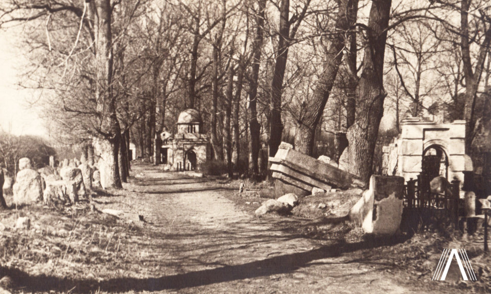 Žydų kapinės Užupyje. Medžiais apsodinta alėja dalina kapines į senąją ir naująją dalį. 1966 m.