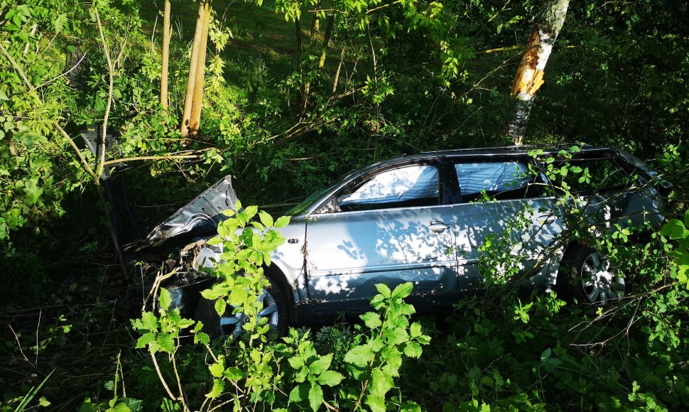 Jonavos rajono Salupių kaime nuo kelio nuskriejo „VW Passat“, vairuotojas spruko