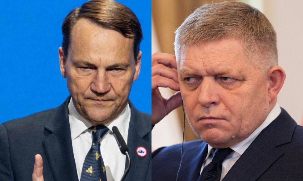 Radoslawas Sikorkis, Robertas Fico
