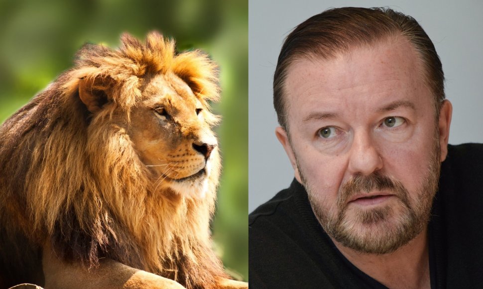Liūtas ir Ricky Gervaisas