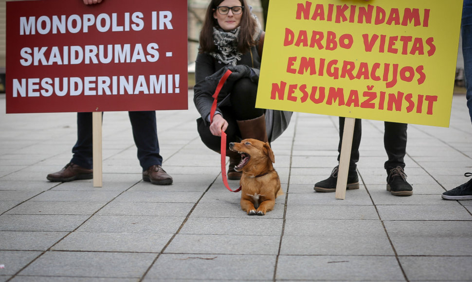 Protestas prieš miškų reformą prie Vyriausybės