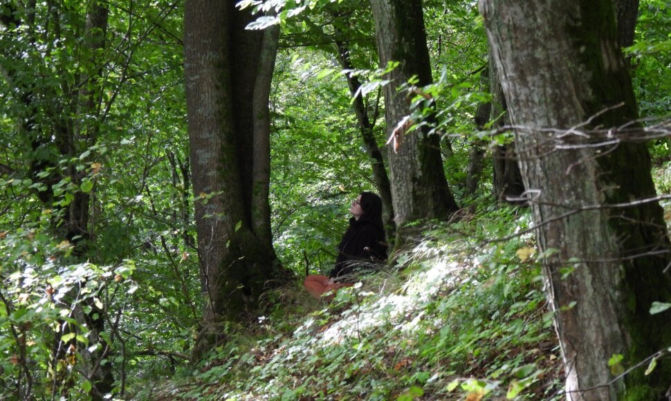 Mi&scaron;ko terapija