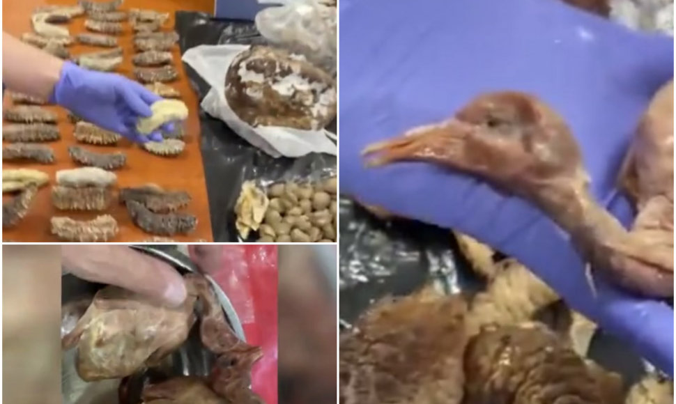 Pareigūnus pribloškė vaizdas kinų restorane