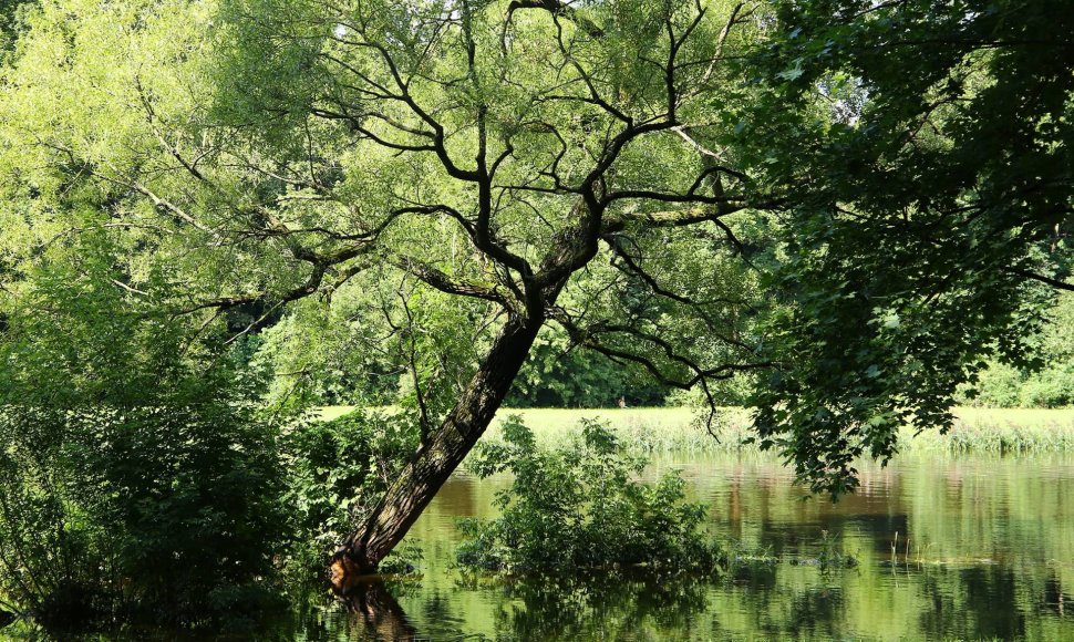 Skaistakalnio parkas Panevėžyje