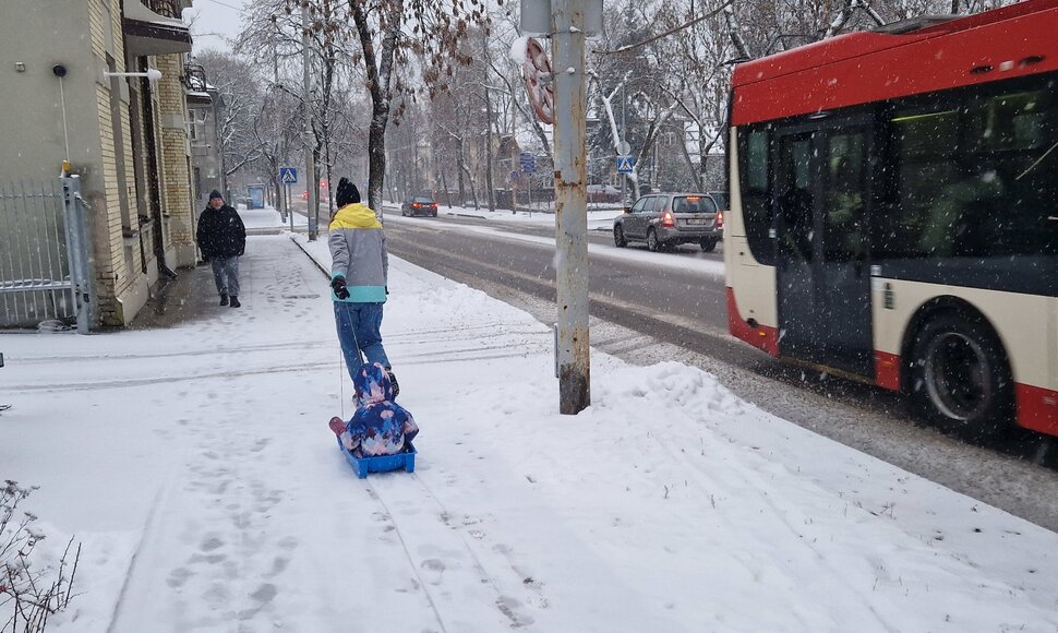 Moteris ir vaikas rogėse per sniegą Vilniuje