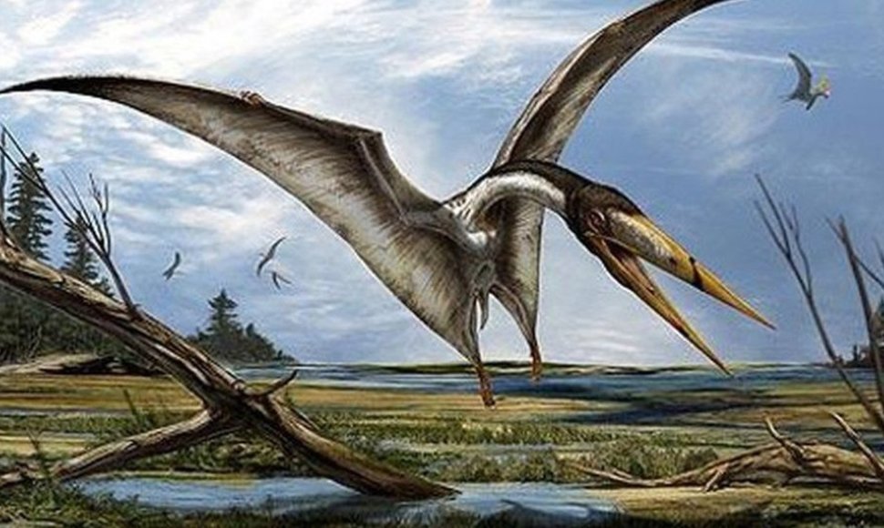 Pterozauro iliustracija