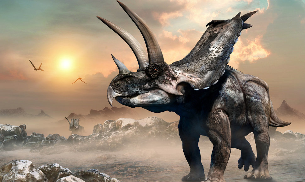 Triceratopo iliustracija