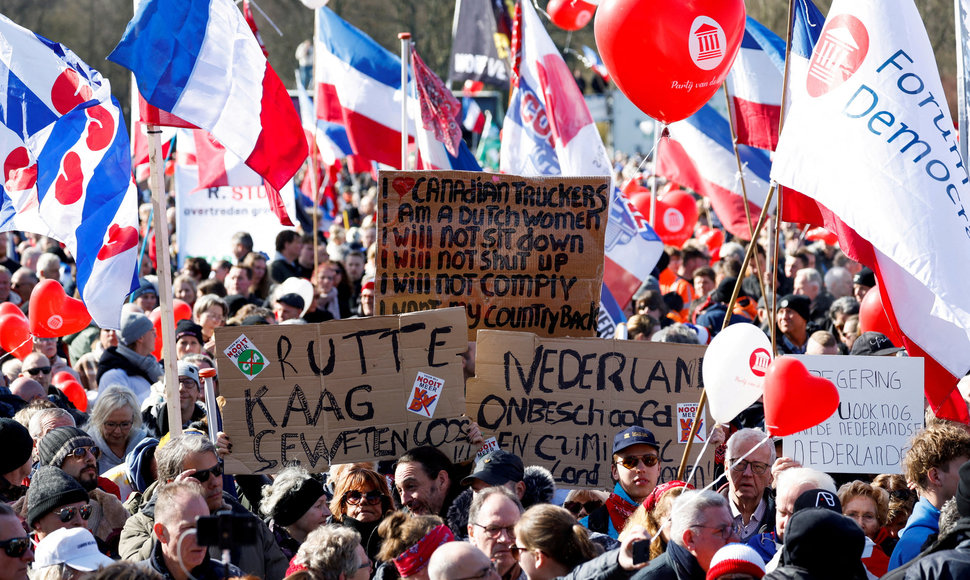 Olandų ūkininkai protestuoja Hagoje. 