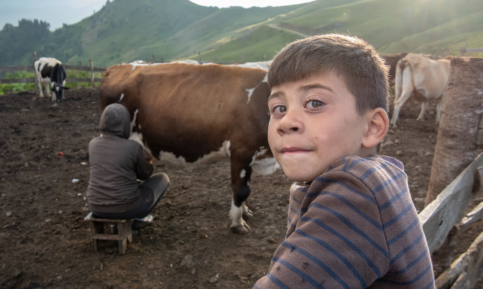 Pada stovi savo kieme Kaukazo Kalnuose, už jo nugaros mama melžia karves,2022 m. Liepos 31 d. 