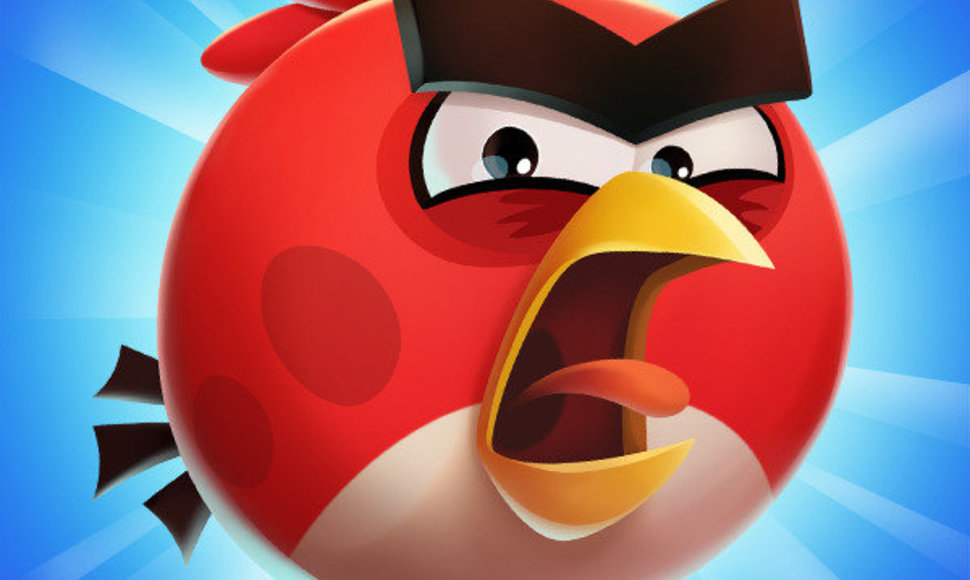 "Angry birds" žaidimo pagrindinis veikėjas