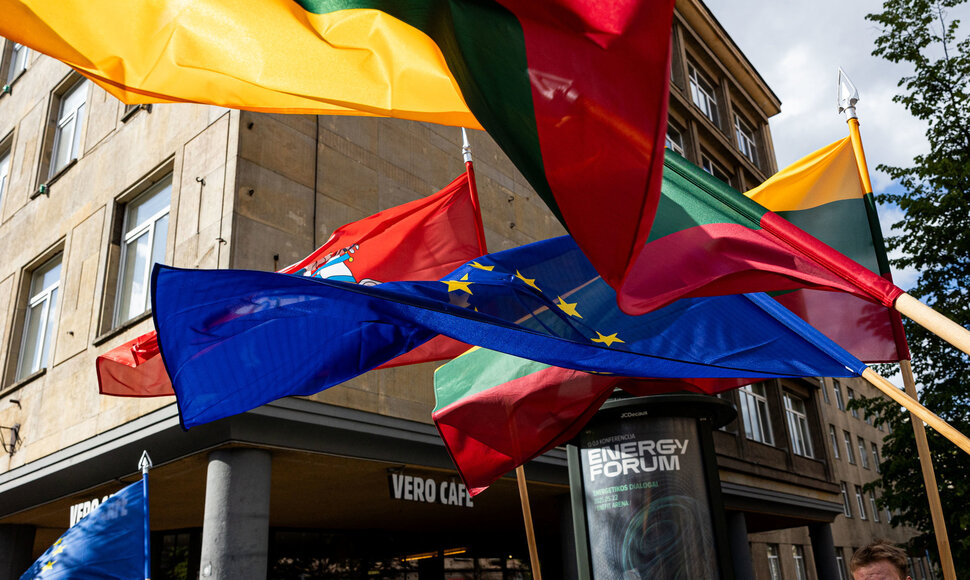Eitynės skirtos &Scaron;umano deklaracijos metinėms ir Europos dienai paminėti