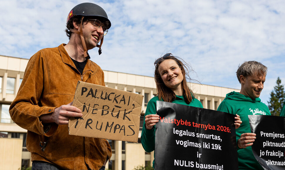 Žaliųjų partijos protestas nepritariant baudžiamojo kodekso pataisoms