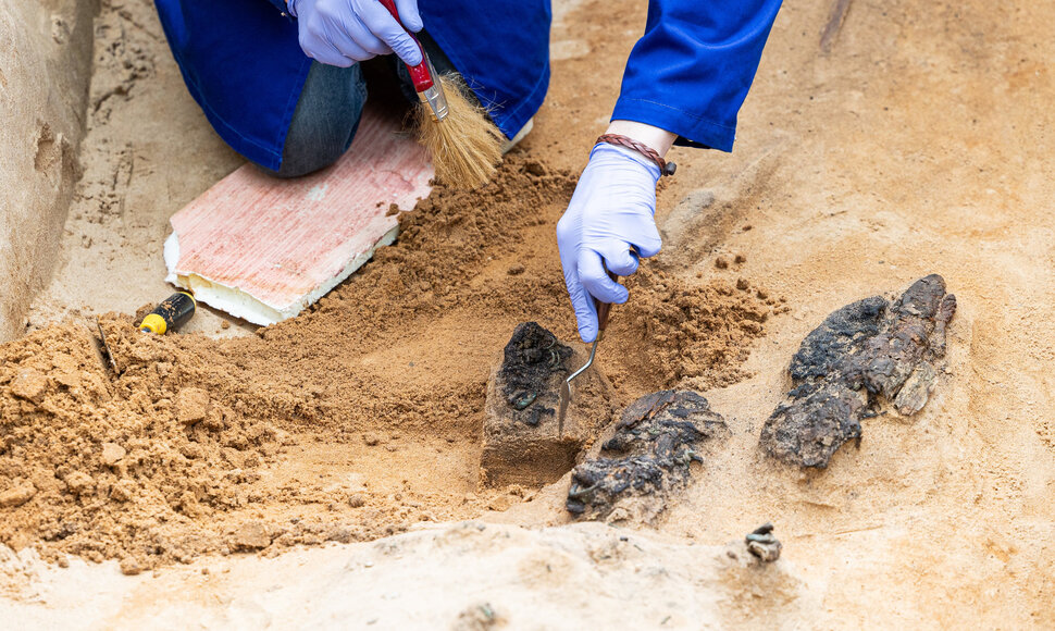 Verkių dvarvietėje pristatomas archeologinis atradimas &ndash; aptikti XIII&ndash;XIV amžių kapai