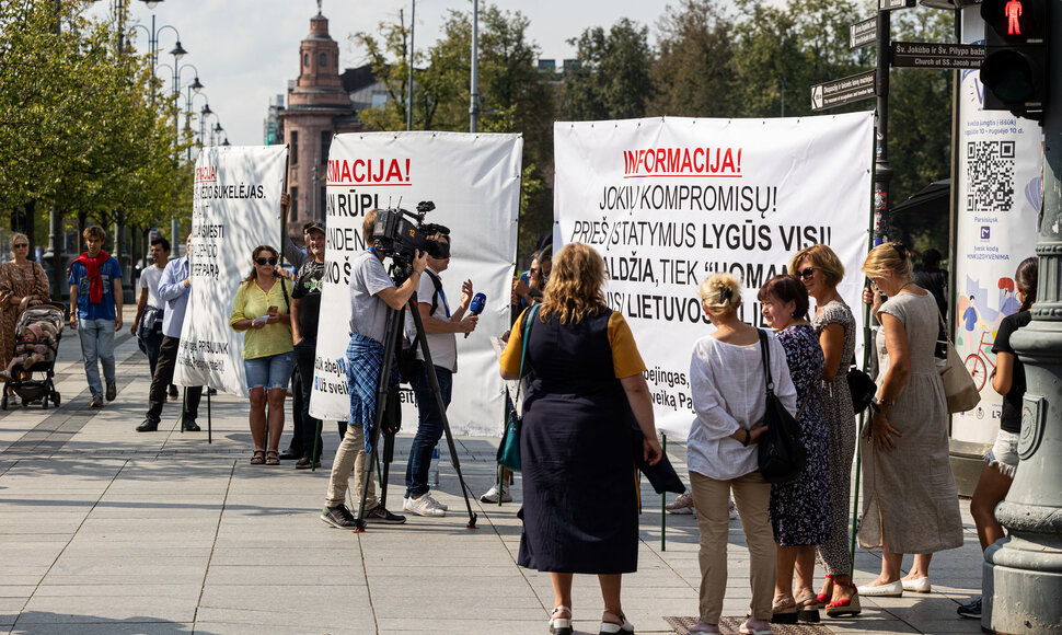 Piketas dėl &bdquo;Homanit Lietuva&ldquo; prie Ekonomikos ir inovacijų ministerijos