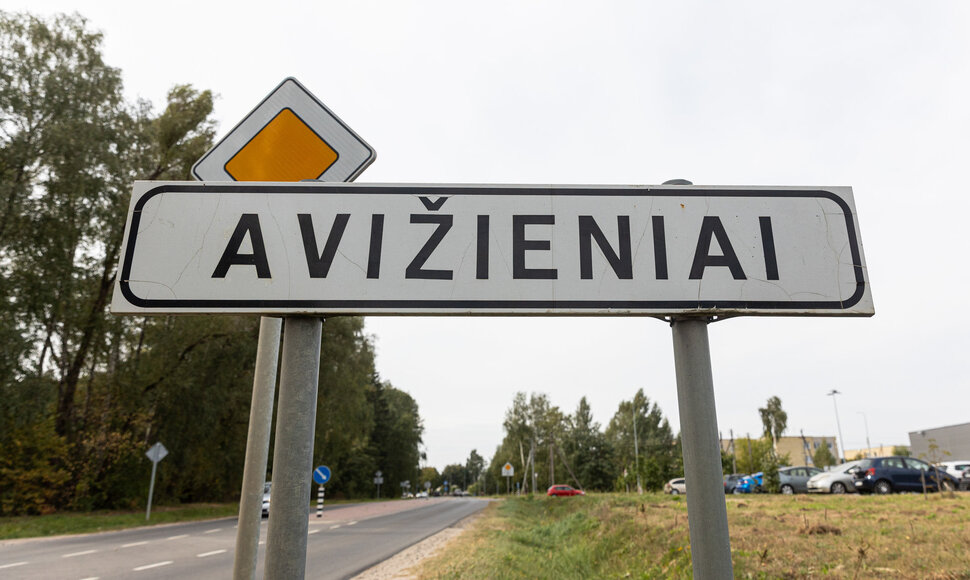 Kelias Avižieniuose