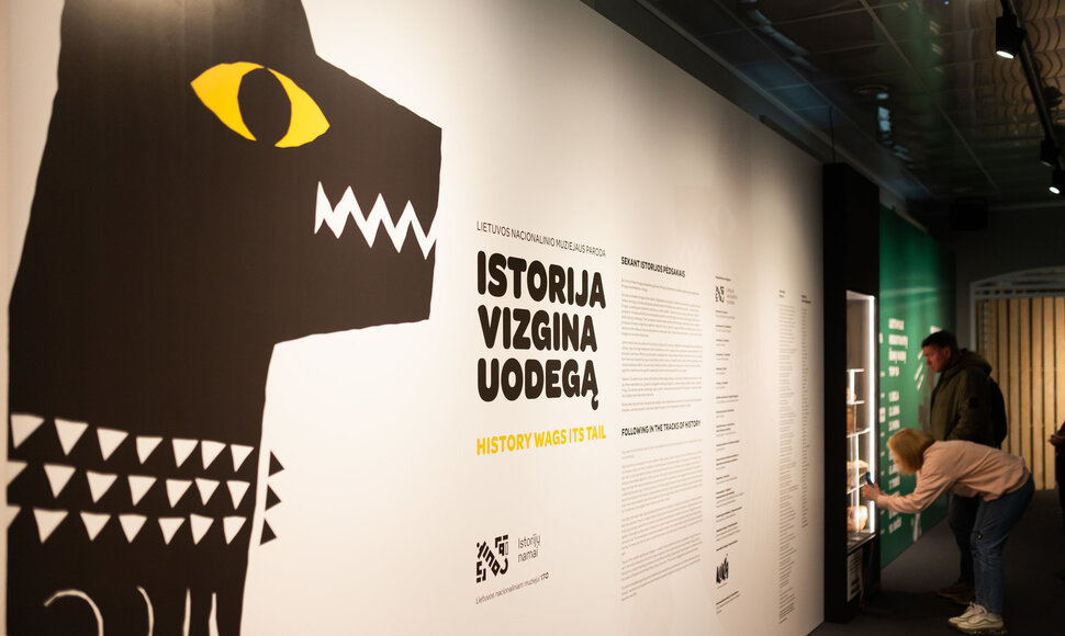 Lietuvos nacionalinio muziejaus Istorijų namų kiemelyje vyko parodos, skirtos &scaron;unų istorijai, atidarymas