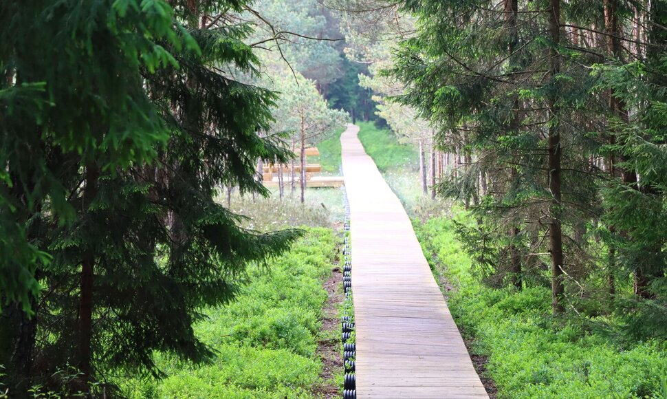Varnikų pažintinis takas (Trakų r.)
