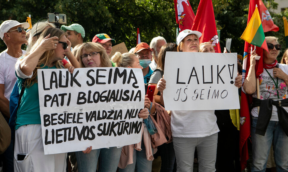 Mitingas prie Seimo prie&scaron; valdžios sprendimus dėl pandemijos valdymo / Pauliaus Peleckio / &bdquo;ŽMONĖS Foto&ldquo; nuotr.