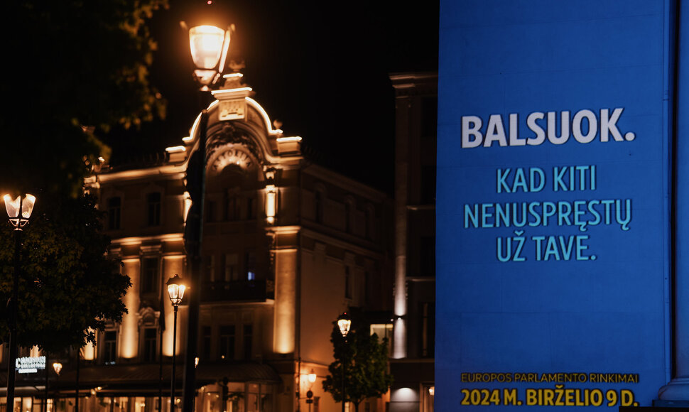 Vilniaus rotu&scaron;ė nu&scaron;vito ES spalvomis ir raginimu dalyvauti EP rinkimuose