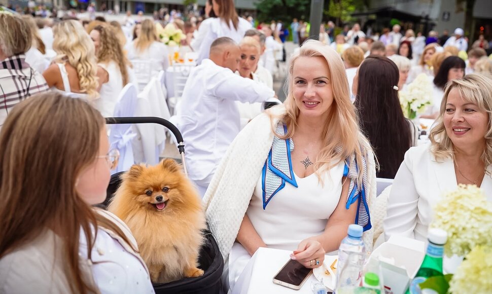 Baltoji vakarienė Panevėžyje 2026 m.