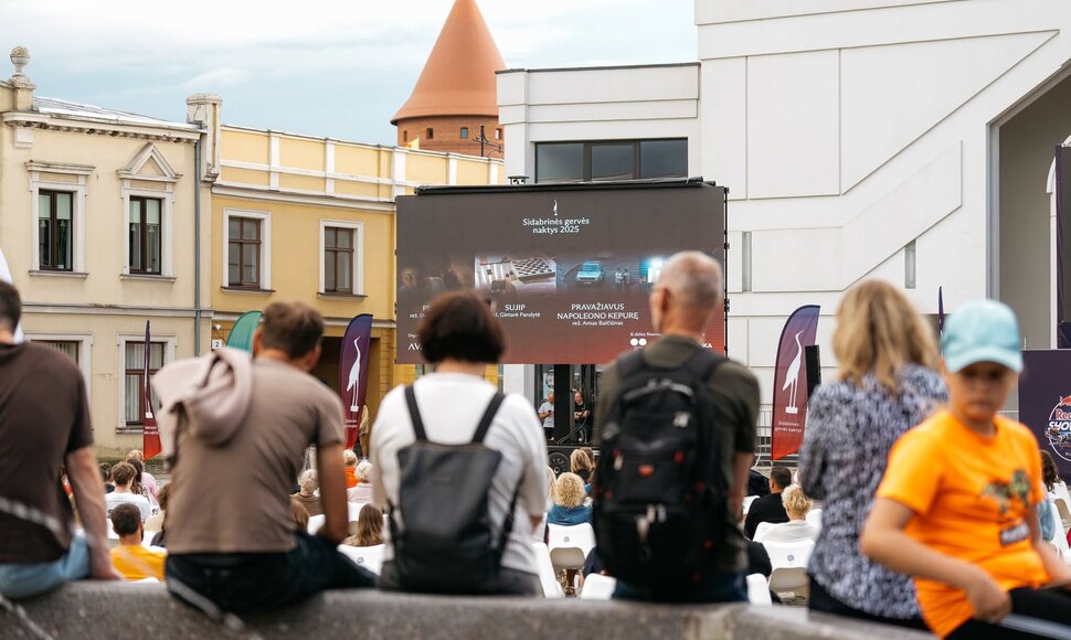 „Sidabrinės gervės naktys“