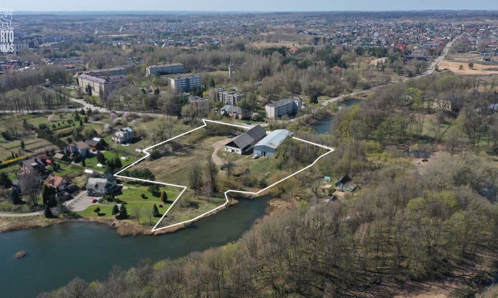 Radvilų dinastijos dvaro teritorijoje esantis žirgynas