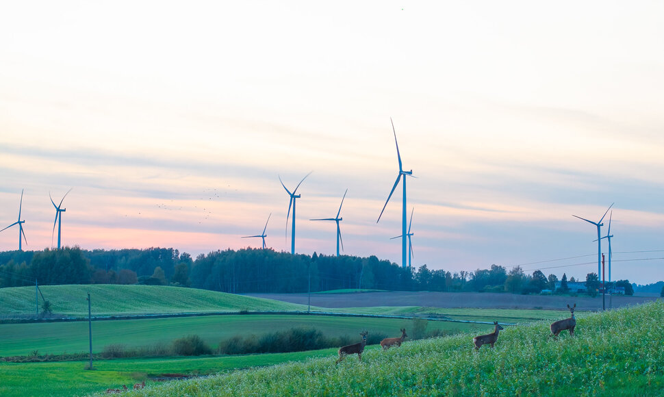 Lietuvos vėjo energetikai &ndash; 20 metų: nuo pirmųjų žingsnių iki energetinės nepriklausomybės