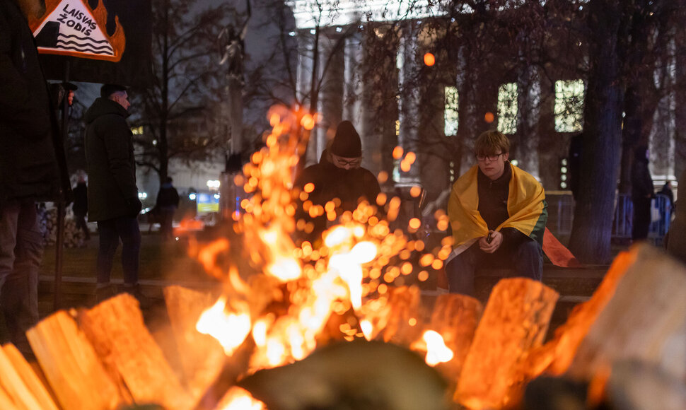 Antrasis protestas &bdquo;&Scaron;alin rankas nuo laisvo žodžio!&ldquo;