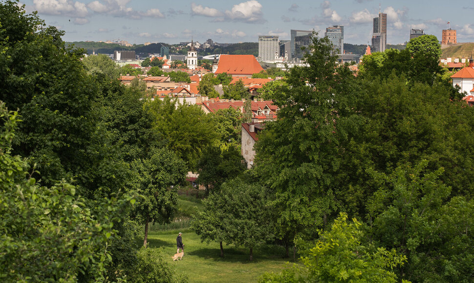 Vilnius