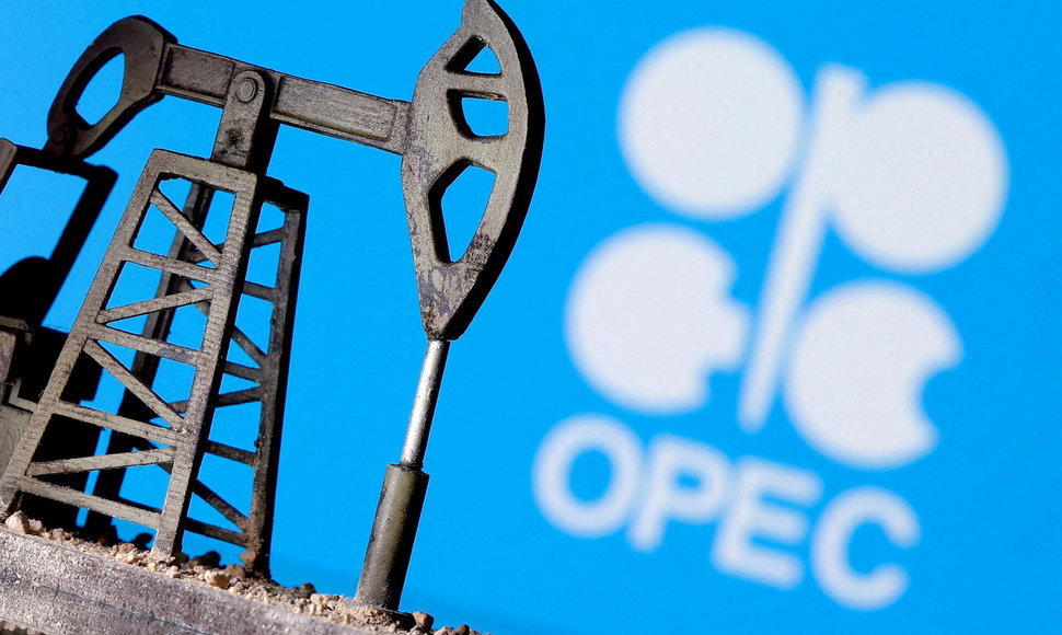 Naftą eksportuojančių valstybių organizacija (OPEC) 