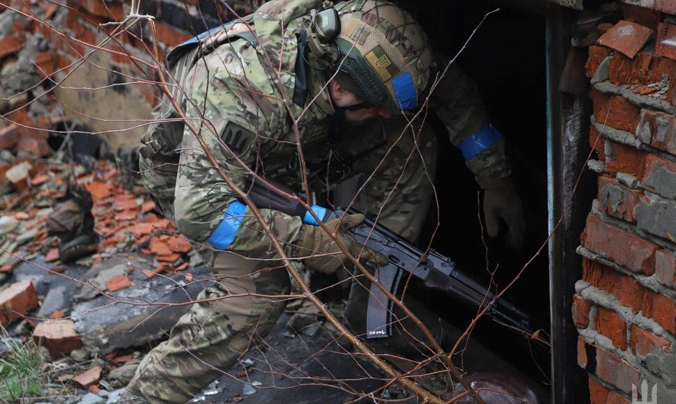 Ukrainos karys