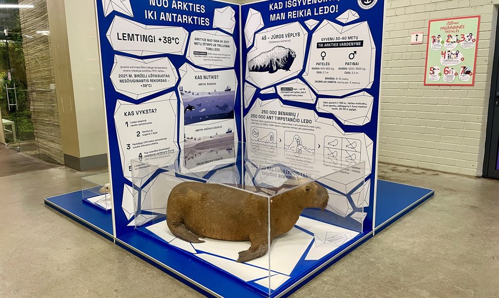 Paroda „Nuo Arkties iki Antarkties“ atkeliavo į Vilniaus zoologijos sodą „Zoopark“