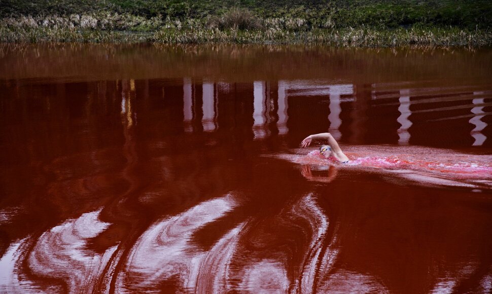 &bdquo;Swimming Through / (Iš)plaukti&ldquo;. 2022.