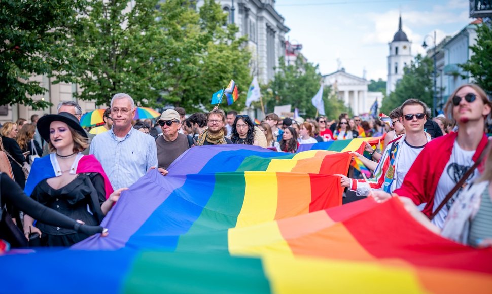 LGBTI+ teisių situacija Lietuvoje: sisteminių pokyčių link