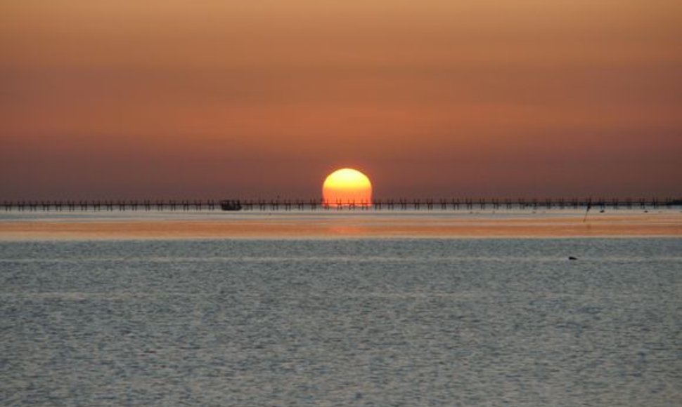 Saulėtekis prie Raudonosios jūros