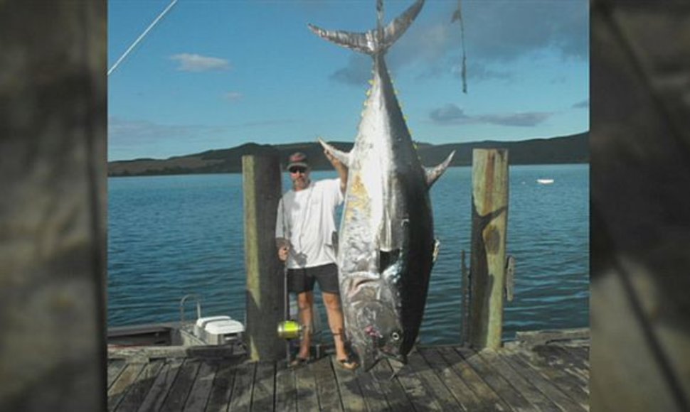 335 kg tunas, sugautas Naujojoje Zelandijoje