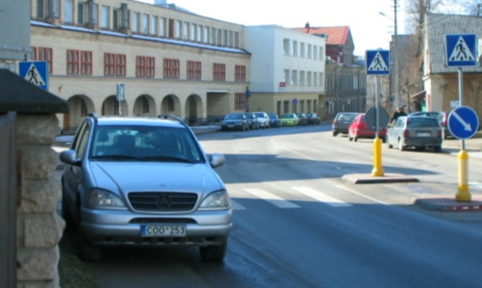 Fotopolicija. Kelių kregždutė