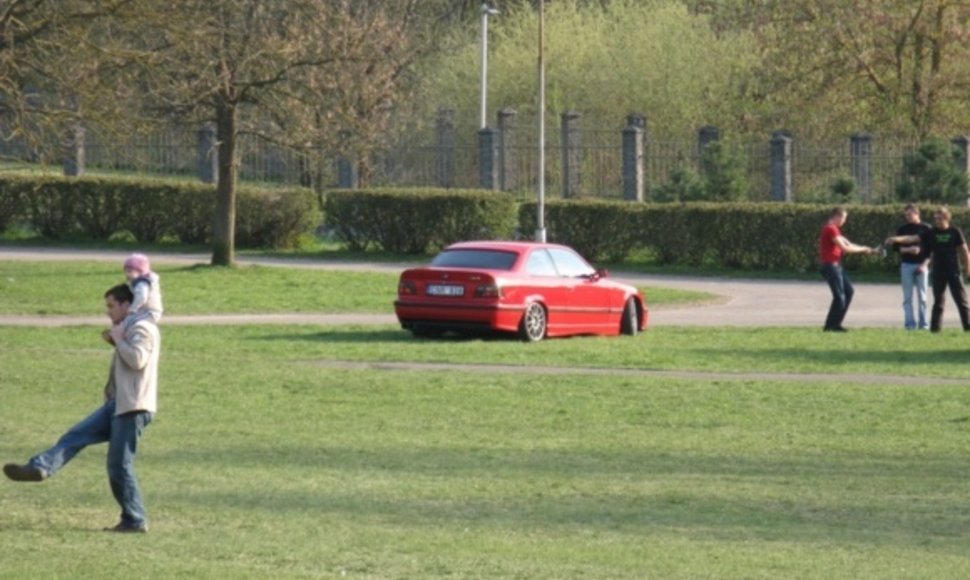 BMW Vingio parke