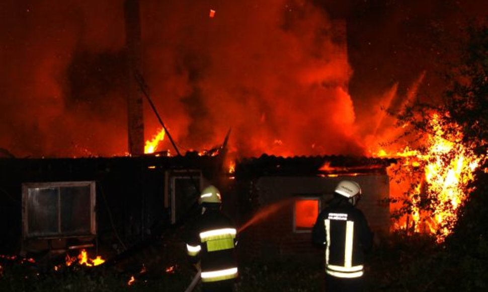 Žaibas Aleknų kaime uždegė namą