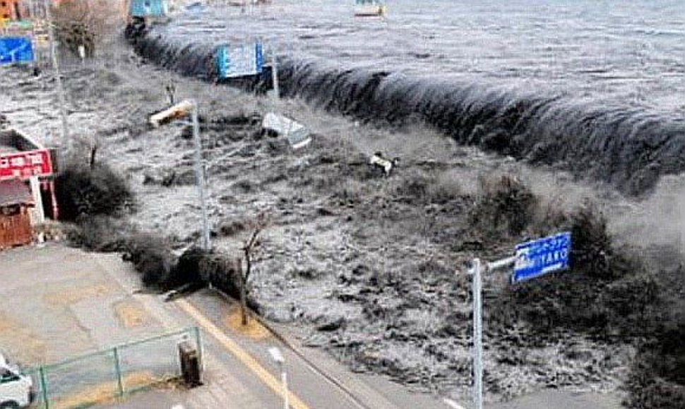 Cunamio pradžia Japonijoje