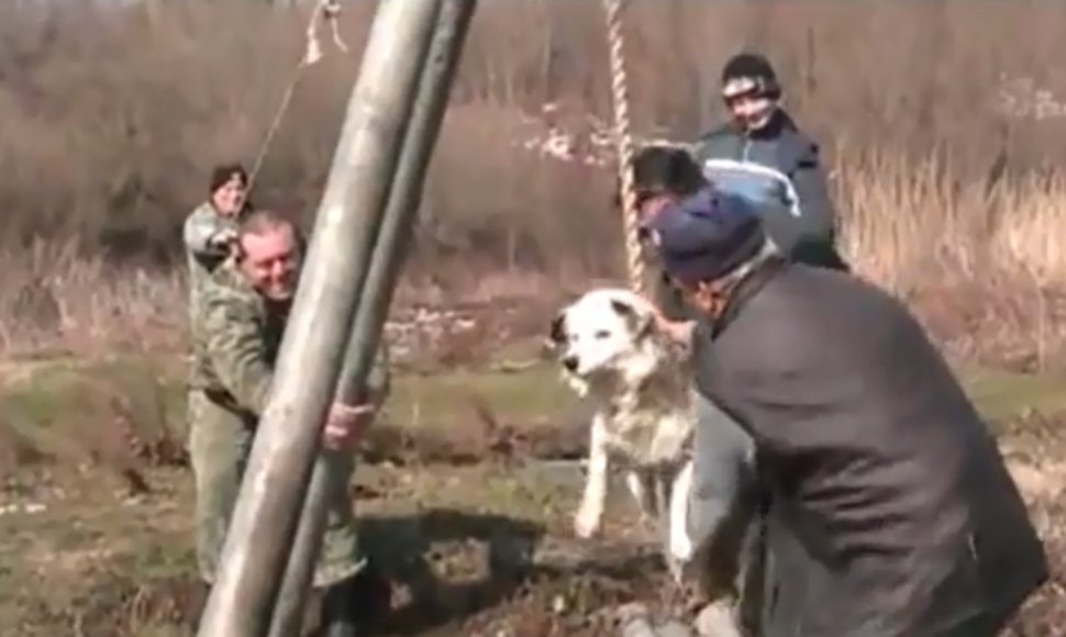 Brodilovo gyventojai įsitikinę, kad toks barbariškas ritualas gali apsaugoti jų šunis nuo pasiutligės.