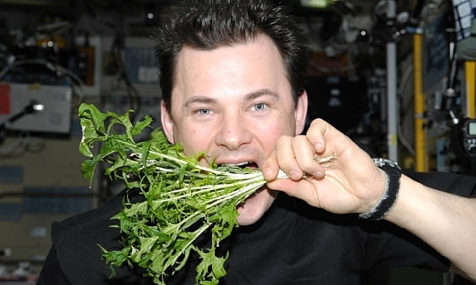 Kosmonautas Romanas Romanenka pozuoja su TKS išaugintomis salotomis.