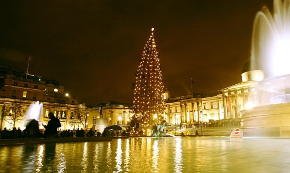 Kalėdų eglutė Londone, Trafalgaro aikštėje