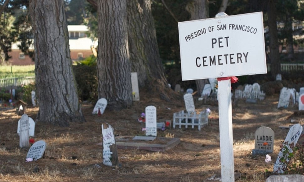Gyvūnėlių kapinės San Franciske